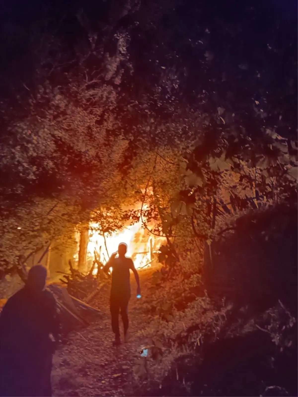 adanada yangin anne ve oglu yaralandi Np6p1WtR