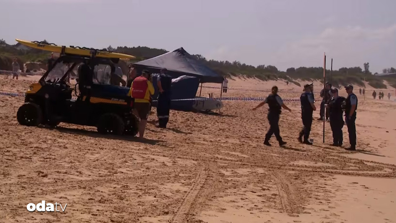 sydneyde kopekbaligi dehseti 1 olu RQD3FIQg