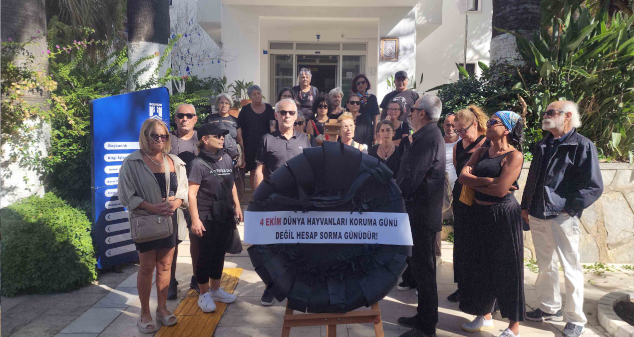 hayvanlarin toplanmasini protesto ettiler belediyeye siyah celenk biraktilar RV5jPJ3P