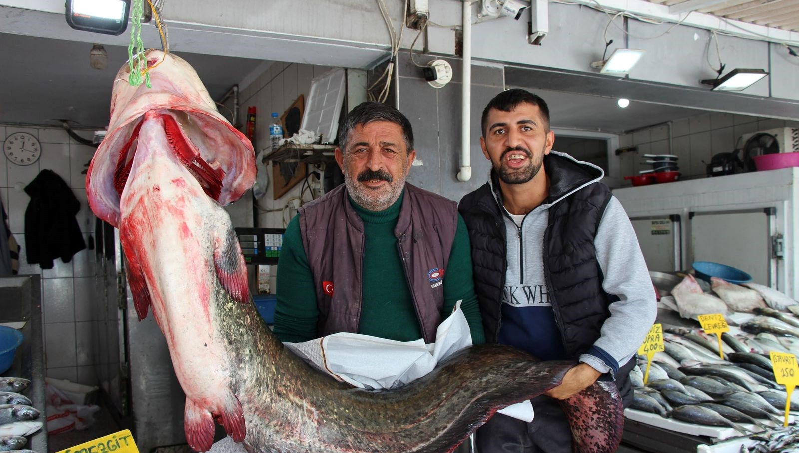 kilosu 250 liradan satisa sunuldu tam 85 kilogram agirliginda krDuEzSm