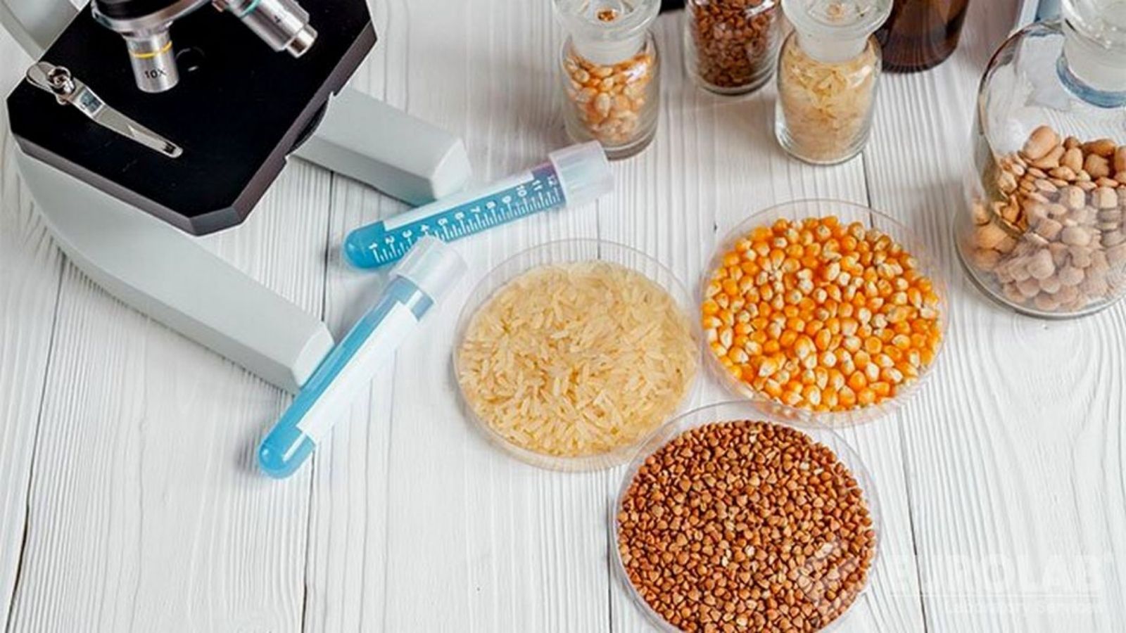 tmr ve kaba yemlerde yem analizi makinesi avantajlari 8n8Ev8W3