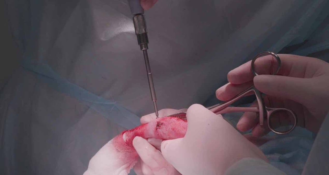 toyota corollada penis buyutme operasyonu yaparken yakalandi giOsntgy.jpg