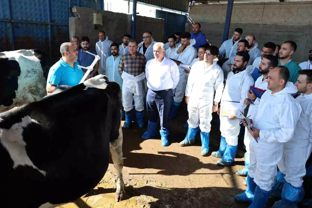 aksarayda sigir egitimi 8bvDvg2h.jpg