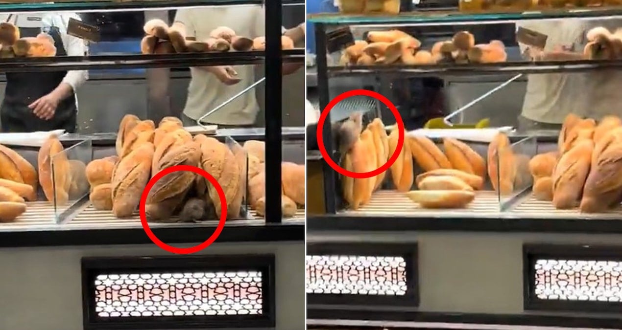 firinda cekilen bu goruntuyu paylasmamasi icin 420 bin lira teklif edildi 19U4LuTm.jpg