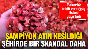 bakanlik-taklit-ve-tagsis-listesi-yayinladi-sampiyon-atin-kesildigi-sehirde-bir-skandal-daha-hMFDXVcY
