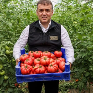Ortalama konut fiyatları belirlendi