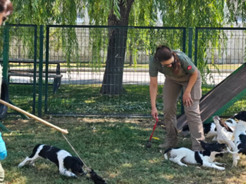 3 aylikken baslayan zorlu maraton hassas burunlar sahaya iniyor RDZwP2M1